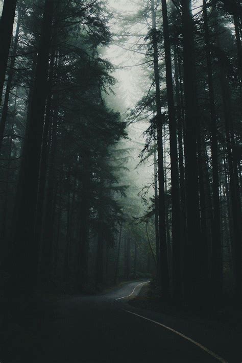 Forest Aesthetic Tumblr Wallpapers - Top Free Forest Aesthetic Tumblr Backgrounds - WallpaperAccess