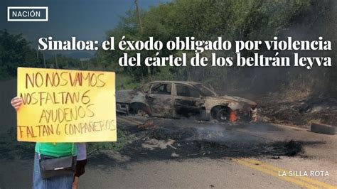 Sinaloa el éxodo obligado por violencia del cártel de los beltrán