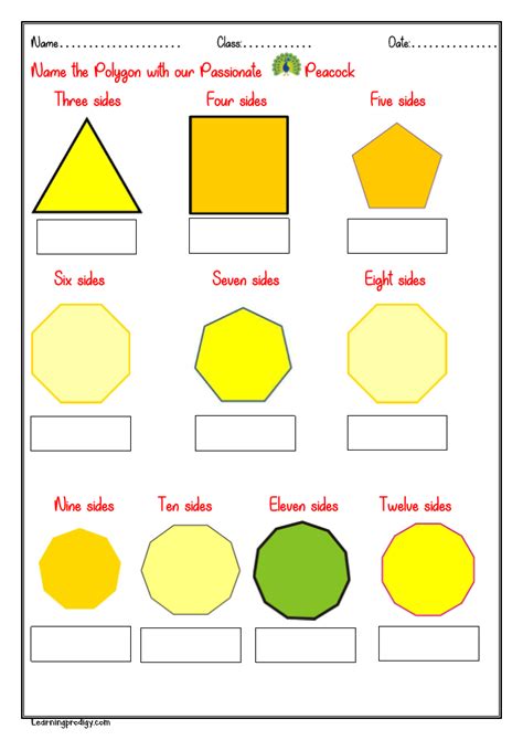 How To Identify Polygons