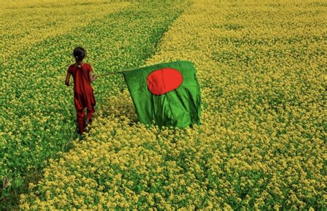 BD Flag Pic 2023: Bangladesh Potaka Photo, Images, Picture, Wallpaper HD - Technewssources.com