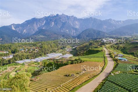 Aerial View Of Kundasang Sabah Landscape With Cabbage Farm And Mount Kinabalu At Far Background