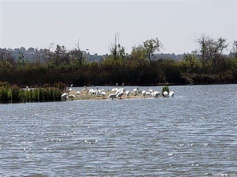 San Joaquin Wildlife Sanctuary Day Trip Irvine California