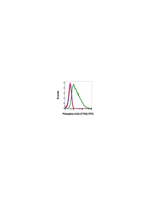 Phospho C Cbl Tyr700 E1 Rabbit MAb FITC Conjugate Abwiz Bio