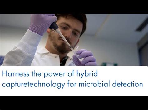 Harness The Power Of Hybrid Capture Technology For Microbial Detection