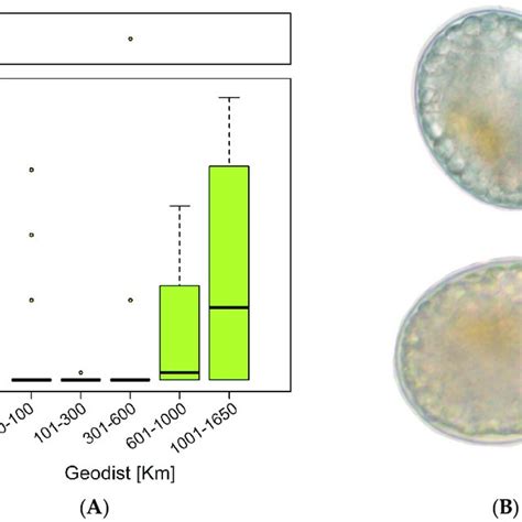 A Boxplot Of The Abundance Of Alexandrium Catenella Resting Cysts Download Scientific Diagram