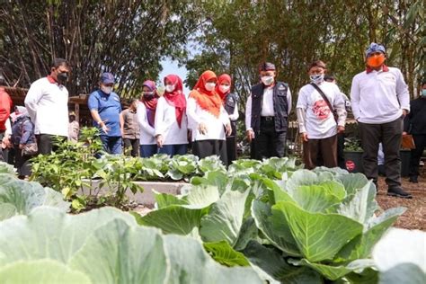 Buruan Sae Konsep Ketahanan Pangan Yang Libatkan Warga Kota Bandung