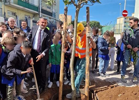 Bari Piantati I Primi Alberi Nella Corte Di Don Bosco Al San Paolo