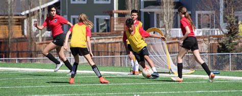 Soccer: The Beautiful Game