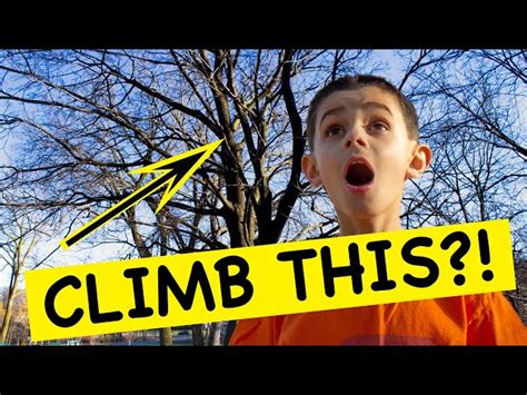 Tree Climbing Basics For Kids A Step By Step Guide Schooltube