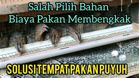 Pemilihan Bahan Tempat Pakan Puyuh Petelur Yang Baik