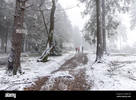 Winterwetter im Taunus Rund um den Großen Feldberg im Taunus ist