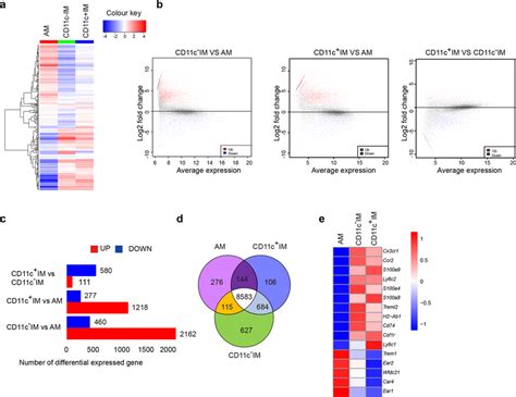 Transcriptional Signature Of Lung Macrophages In Tumor Environment Ae Download Scientific