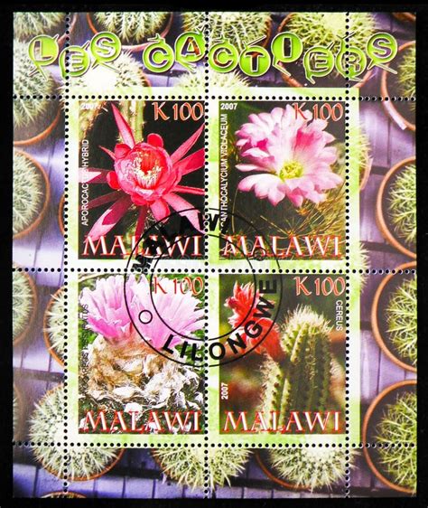 Stamps Printed In Malawi Shows Cactuses Serie Circa Editorial