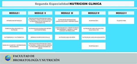 Mallas Curriculares De Posgrado Universidad Nacional José Faustino Sánchez Carrión