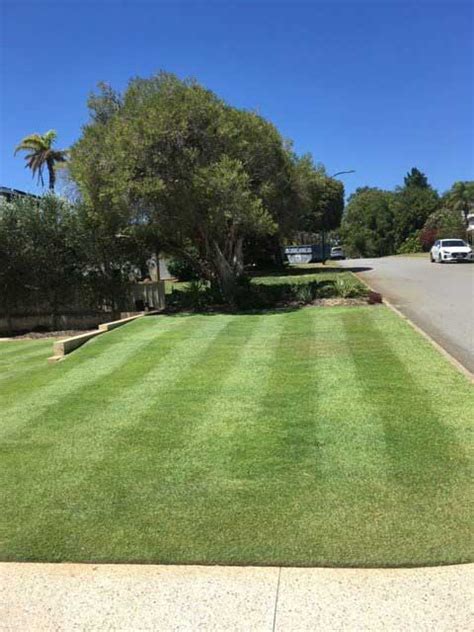 Varying Your Lawns Diet Lawn Care Lawn Maintenance The Lawncare Man Perth Wa