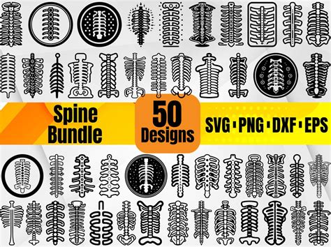 High Quality Spine SVG Bundle Anatomy Spine Svg Spine Monogram Spine