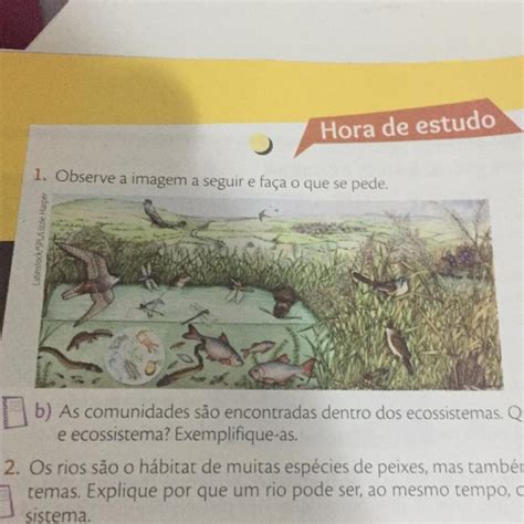 1 Observe A Imagem A Seguir E Faça O Que Se Pede Per S Te A O Nível