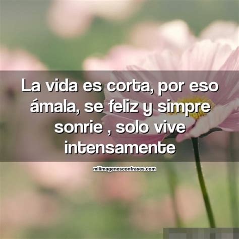 Imágenes Con Frases La Vida Es Corta