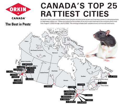 Two Local Cities Rank In Top 25 Rattiest Cities In Ontario