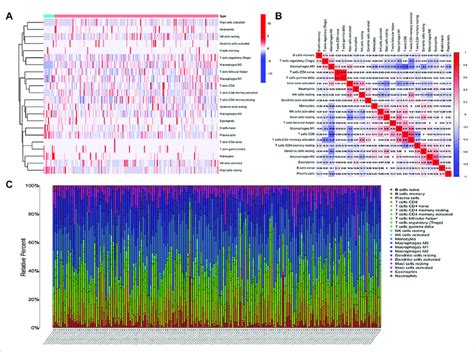 Analysis Of Immune Cell Infiltration A Heatmap Of The Infiltration