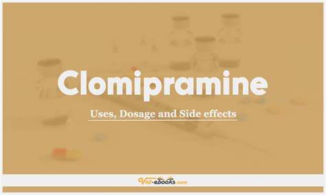 Clomipramine Dose For Dogs & Cats | Vet Drugs List