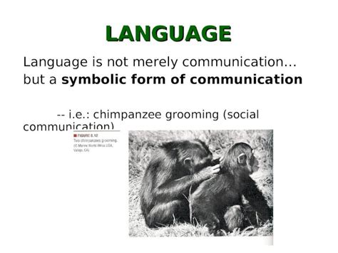 PPT LANGUAGE Language Is Not Merely Communication But A Symbolic