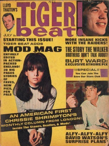 Chrissie Shrimpton Tiger Beat Magazine July 1966 Cover Photo United States