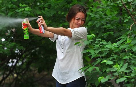 Каким запахом можно отпугнуть клещей: советы экспертов