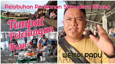 Tempat Pelelangan Ikan Pelabuhan Perikanan Samudera Bitung Youtube