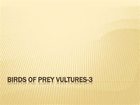 Birds of prey vultures 3 | PPT