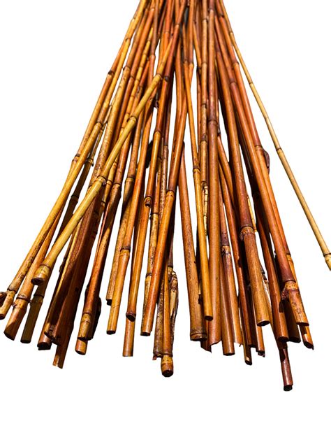 Colorful Thin Bamboo Poles Pack Of 20 025 Inches Wide 5 Feet Long