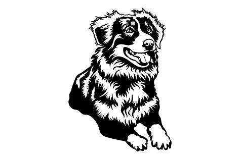 Australian Shepherd Peeking Silhouette Aussie Peeeking SVG Cricut File