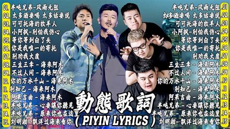 2024華語流行歌曲50首 ️大陸流行歌曲 2024流行歌曲🎶半吨兄弟 风雨无阻 多酒要喝 太多话要说 可可托海的牧羊人 小阿枫