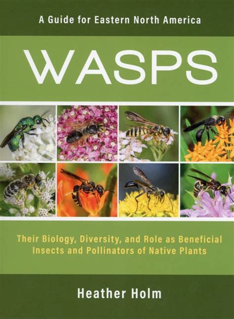 Wasps A Guide For Eastern North America Prairie Moon Nursery