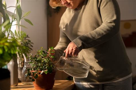 Разведение корневина для замачивания черенков цветов - Ландшафтный дизайн