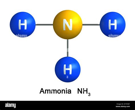 Lewis Diagram For Ammonia How To Draw The Lewis Structure Fo