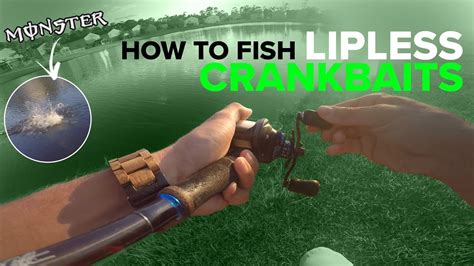 How To Fish Lipless Crankbaits Bass Fishing Surprising Outcome