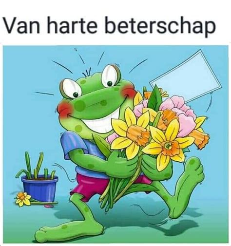 Beterschapskaart Bloemen Opkikker Kleurrijk Vrolijk Artofit