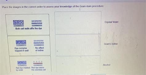 Solved Place The Images In The Correct Order To Assess Your Chegg