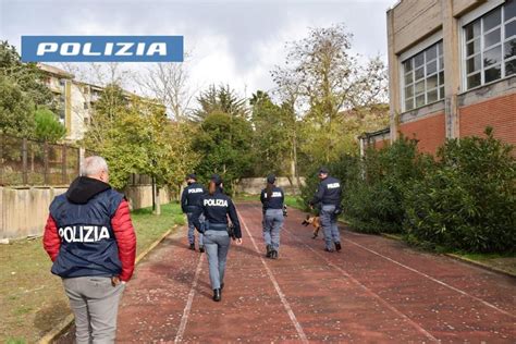 Polizia Controlli Con I Cani Antidroga Nelle Scuole Di Caltagirone