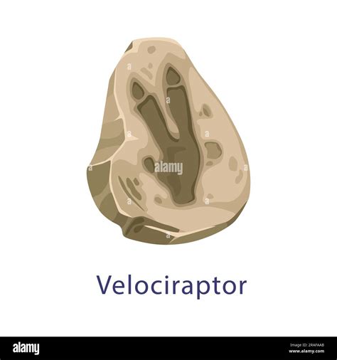 Huella De Dinosaurio Antiguo F Sil Huella De Ciencia De Paleontolog A