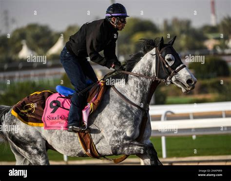 The Riyadh Dirt Sprint Contender Ryuno Yukina Gallops In The Morning