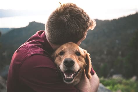 Perros De Apoyo Emocional Un Aliado De La Salud Mental De Las Personas