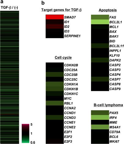 Identification of target genes of TGF β in Ramos cells a mRNAs were