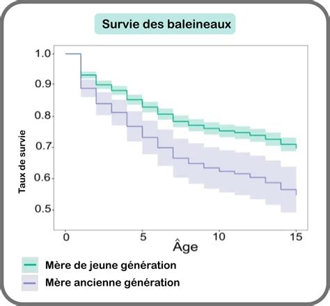 La M Nopause Curiosit De La Reproduction De Lorque