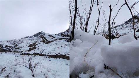 Manali witnesses first snowfall of the year, have a look at the mesmerizing views – India TV