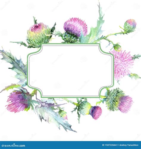 Thistle Border Vector Illustration 94230944