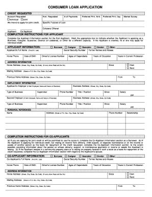 Consumer Loan Application Sample Fill And Sign Printable Template Online