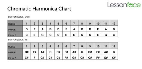 Chromatic Harmonica Chart | Lessonface