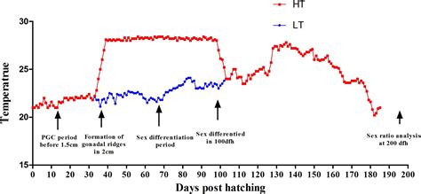 Frontiers Transcriptome Profiling Insights The Feature Of Sex